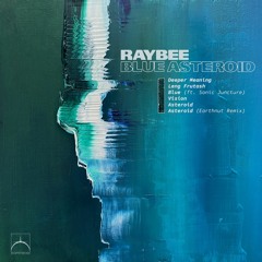 Premiere: Raybee - Asteroid (Ecliptic Sound)