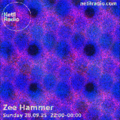 Zee Hammer - 4th Sunday 10pm till the end