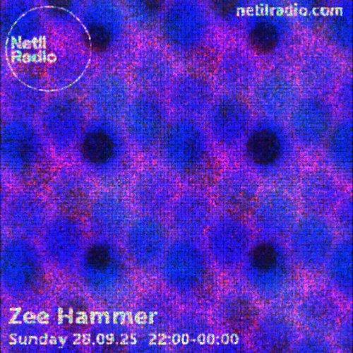 Zee Hammer - 4th Sunday 10pm till the end