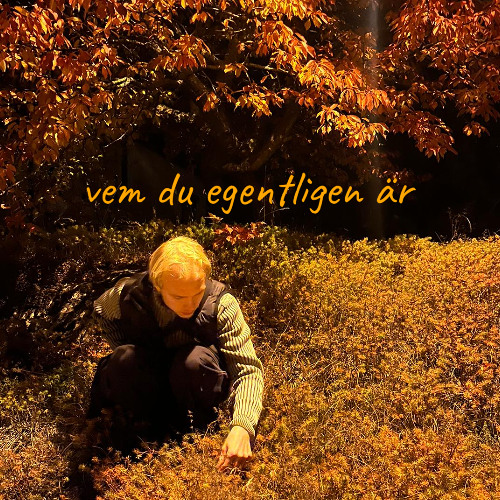 Vem Du Egentligen Är (Prod. tvoykoresh)