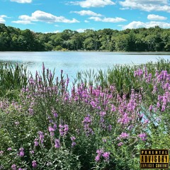 Reality from Fiction (Prod. by ayodlo)