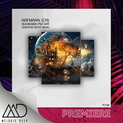 PREMIERE: Hofmann (CH) - Queremos Paz Hoy (Sebastian Busto Extended Remix)[Polyptych]