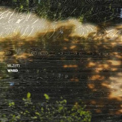 [PREMIERE] MLZ(IT) - DME [W8RD016]