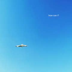 how can i?