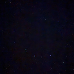 Gradient Campout 2025