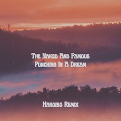 The Naked And Famous - Punching In A Dream (Haroibo Remix)