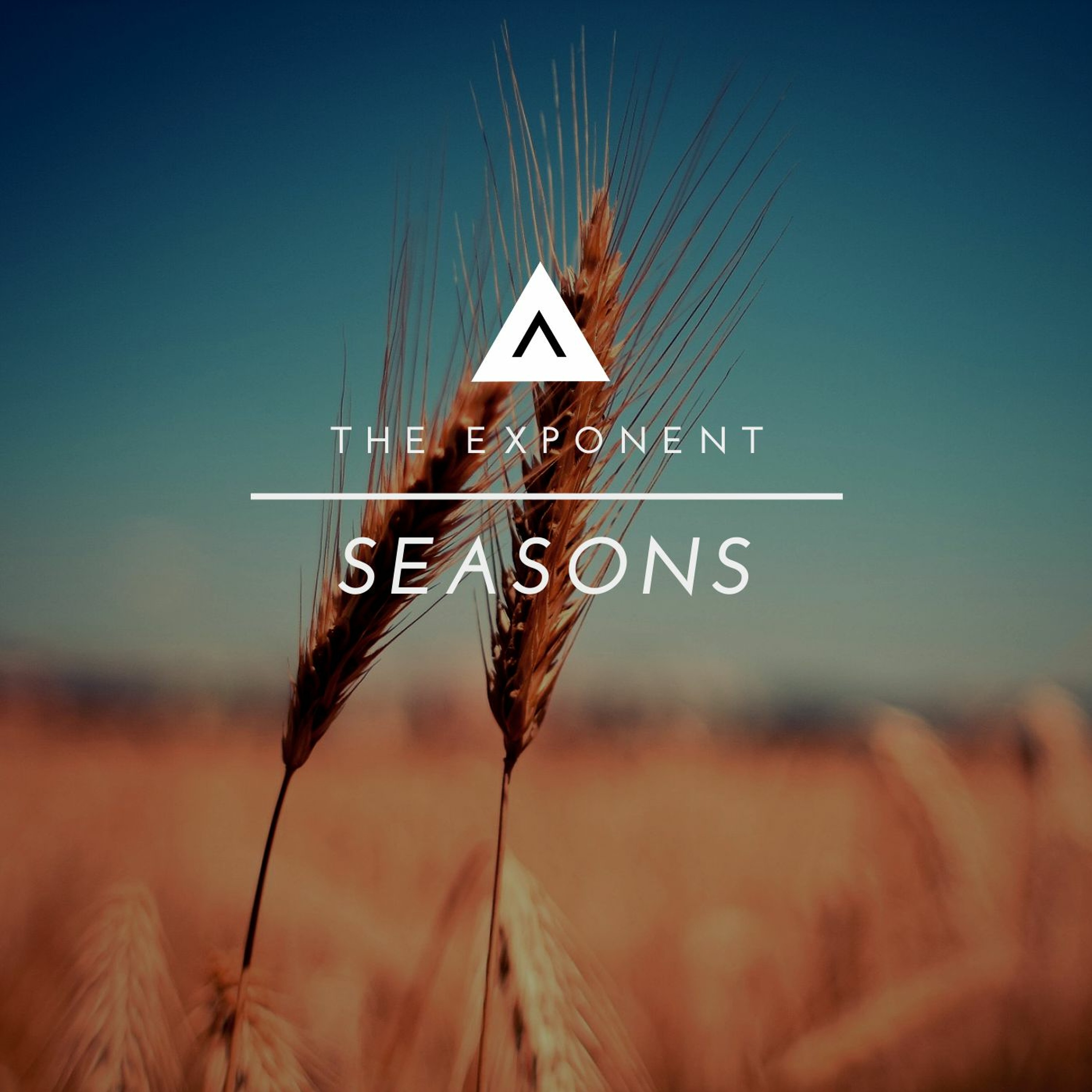 Seasons (OSC 137 HY-Poly Free) episode artwork