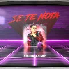 De La Ghetto - Se Te Nota (Pro x CeeLoKey).wav