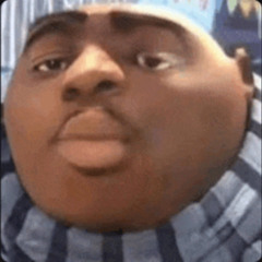 WdF