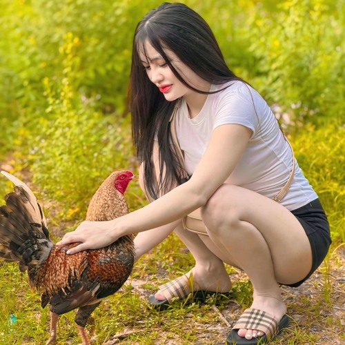 NST 2K25 ĐỘC THÂN VUI TÍNH NÊN DƯƠNG TÍNH VỚI BÉ MÈOO - BÉ MÈO x DUY HUY