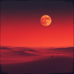 Martian Silk Road