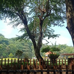 Fby putri Cover Pemilik hati - Armada