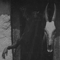 TRANSGRESSION PT.2