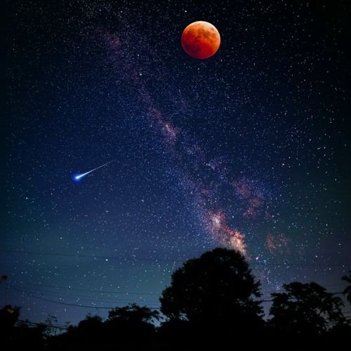 Lockdown - BeWild Records