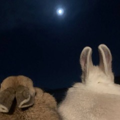 Bang me hard punchmymommainthethroat karaokerightkickmydaddyinthechest