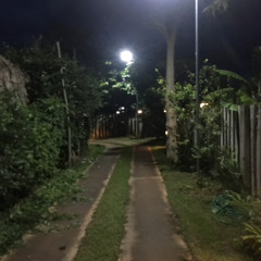 know - kaido son ( cover )