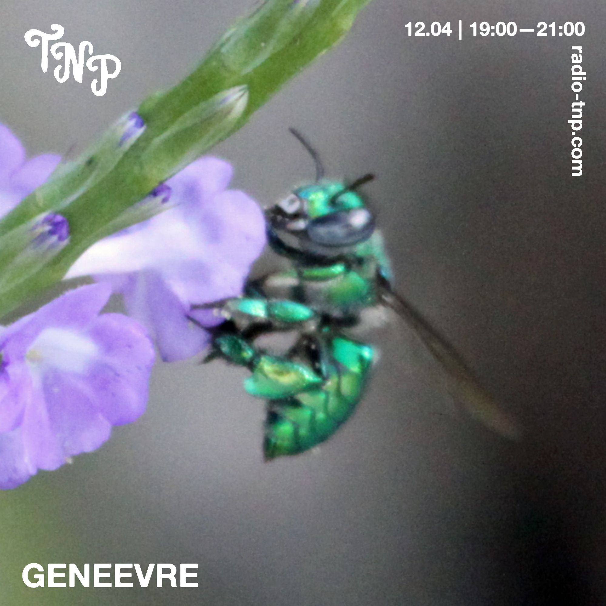 GENEEVRE