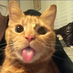 gotham love x dealer lana del rey