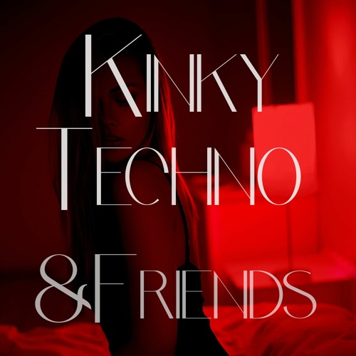 Kinky Techno & Friends - Moekli