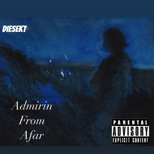 Admirin From Afar