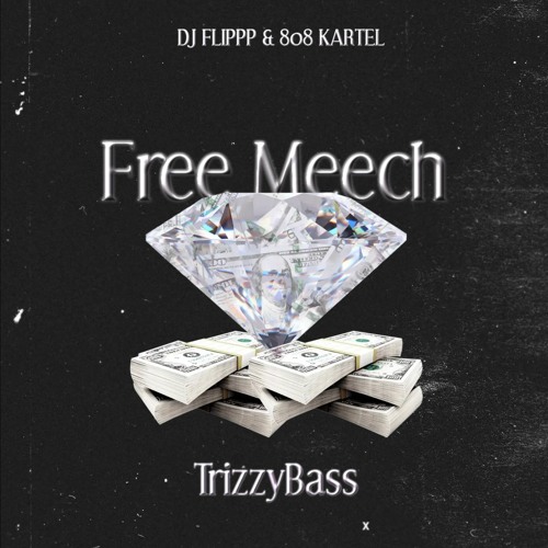 DJ Flippp & TrizzyBass - Free Meech (prod. by What Up 5)