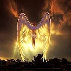 Margiela (margielq!)