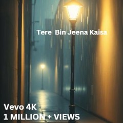 @Tere Bin Jeena Kaisa