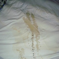 extime - bed sheets were so messed up when we woke up i culdnt speak to him/her b4 breakfast