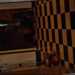 (SD) Get Up Wit Me (NazLilWick, Lil Fullyz)