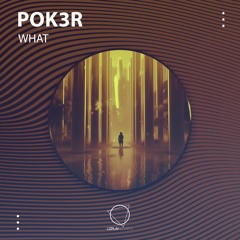 Pok3r - What (LIZPLAY RECORDS)