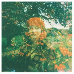 Have Yourself a Merry Little Christmas