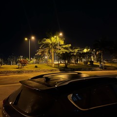 The city FT.(Ricas Si x Max Miller)
