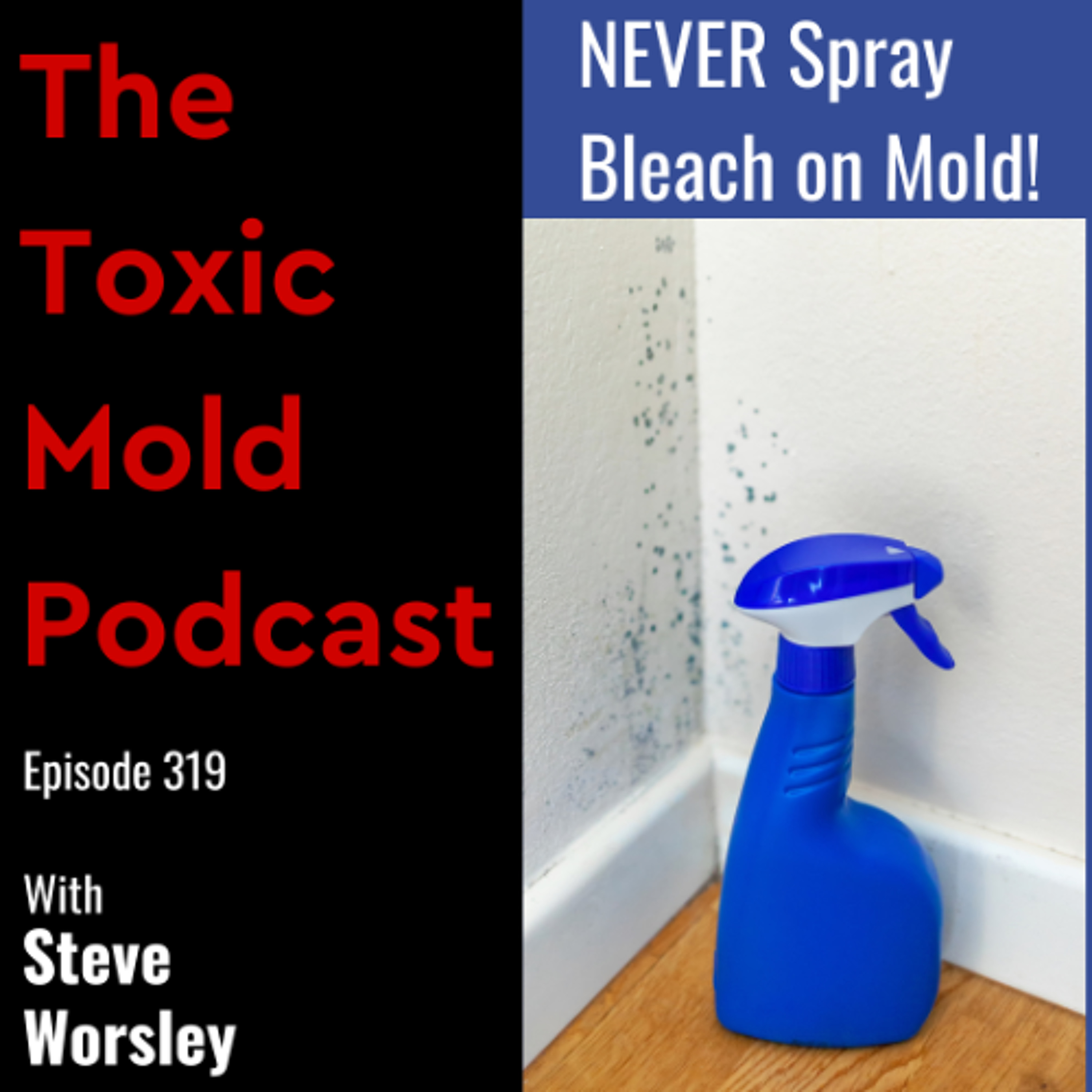 The Toxic Mold Podcast