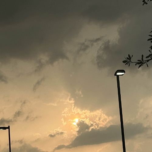 For A Fool* w/ .gav (p. Amorii)