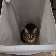 ALL MY FAULT (prod. liv)