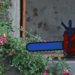 THE CHAINSAW