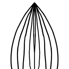 N.U.S @ TeenageYearsParty Juli 23