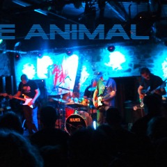 WIRE ANIMAL - Cleeres Kilkenny December 2013.wav