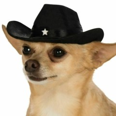 The Adventures of Night Dog