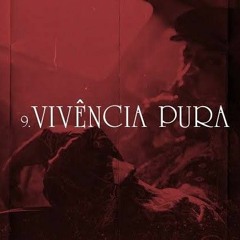 Murica - Vivência Pura