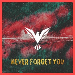 Never Forget You