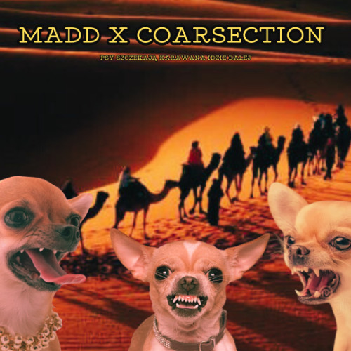 MADD x COARSECTION PSY SZCZEKAJĄ KARAWANA IDZIE DALEJ