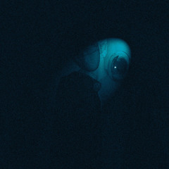 lightseeker
