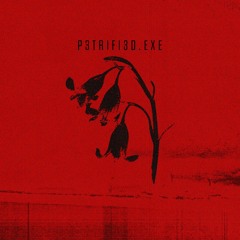 P3TR1F13D.EXE
