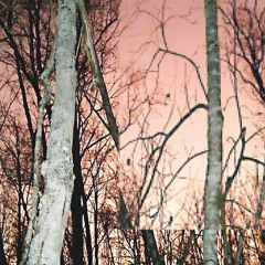 редфлаг (with nevím)