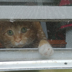 Waiting - On - Layoff - Announcements - REC_0146