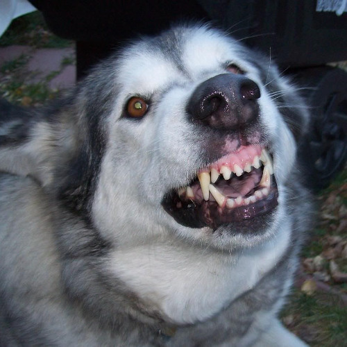 im so sorry im different