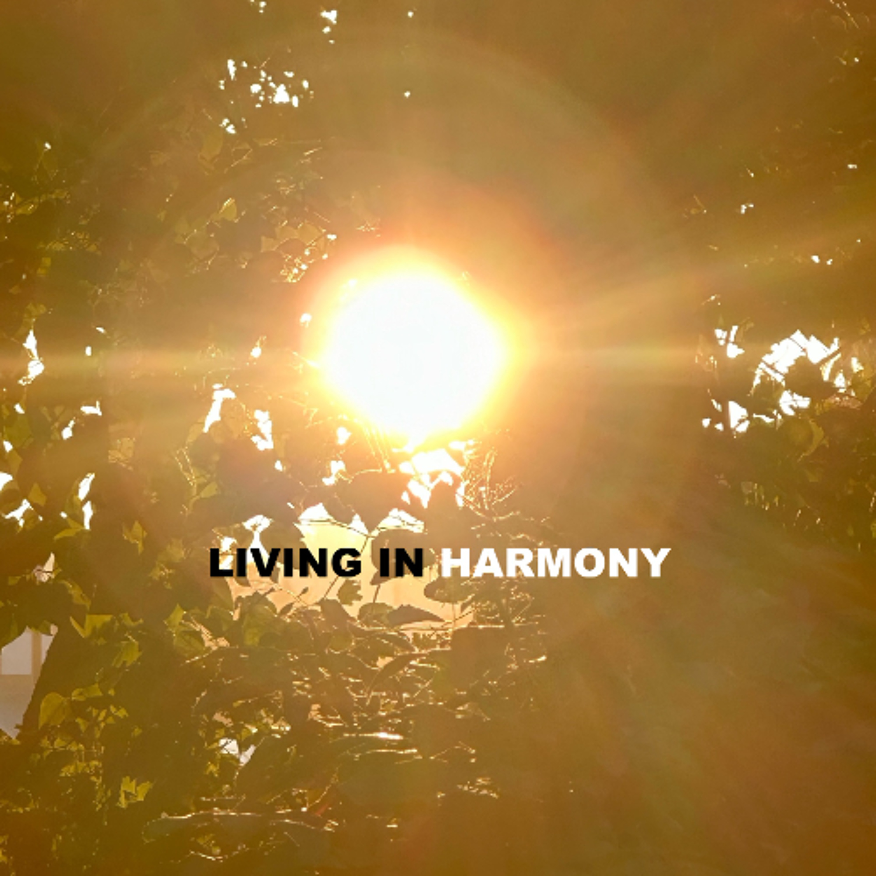 SVÖGAN - LIVING IN HARMONY 196