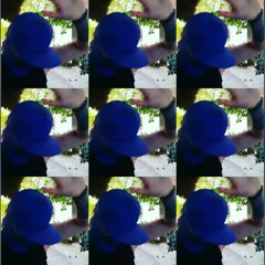 Ballantines - Shiva Reza (cover)
