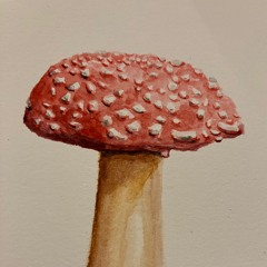 Growth
